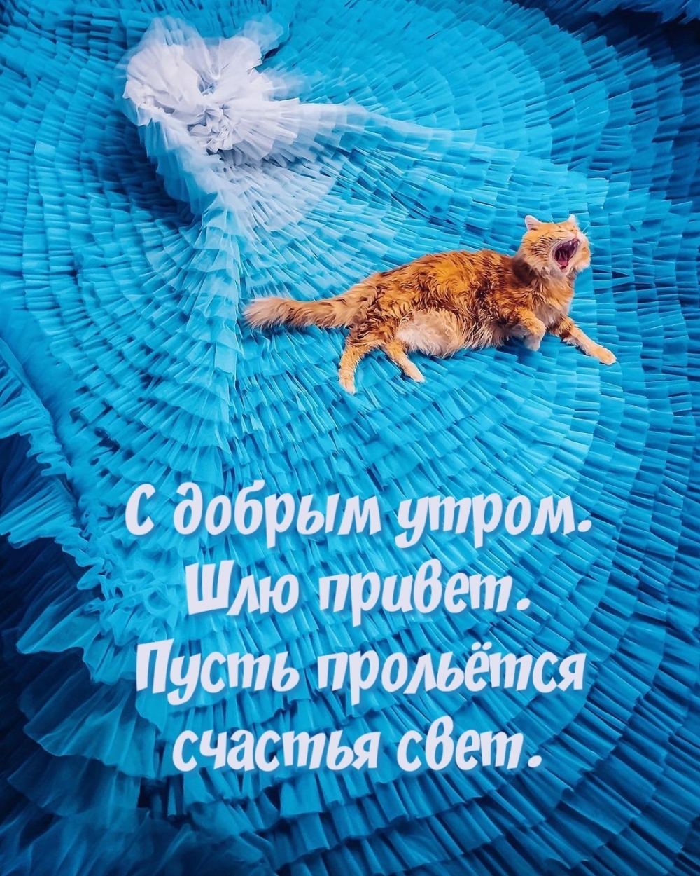 С добрым утром. Шлю привет. Пусть прольётся счастья свет.
