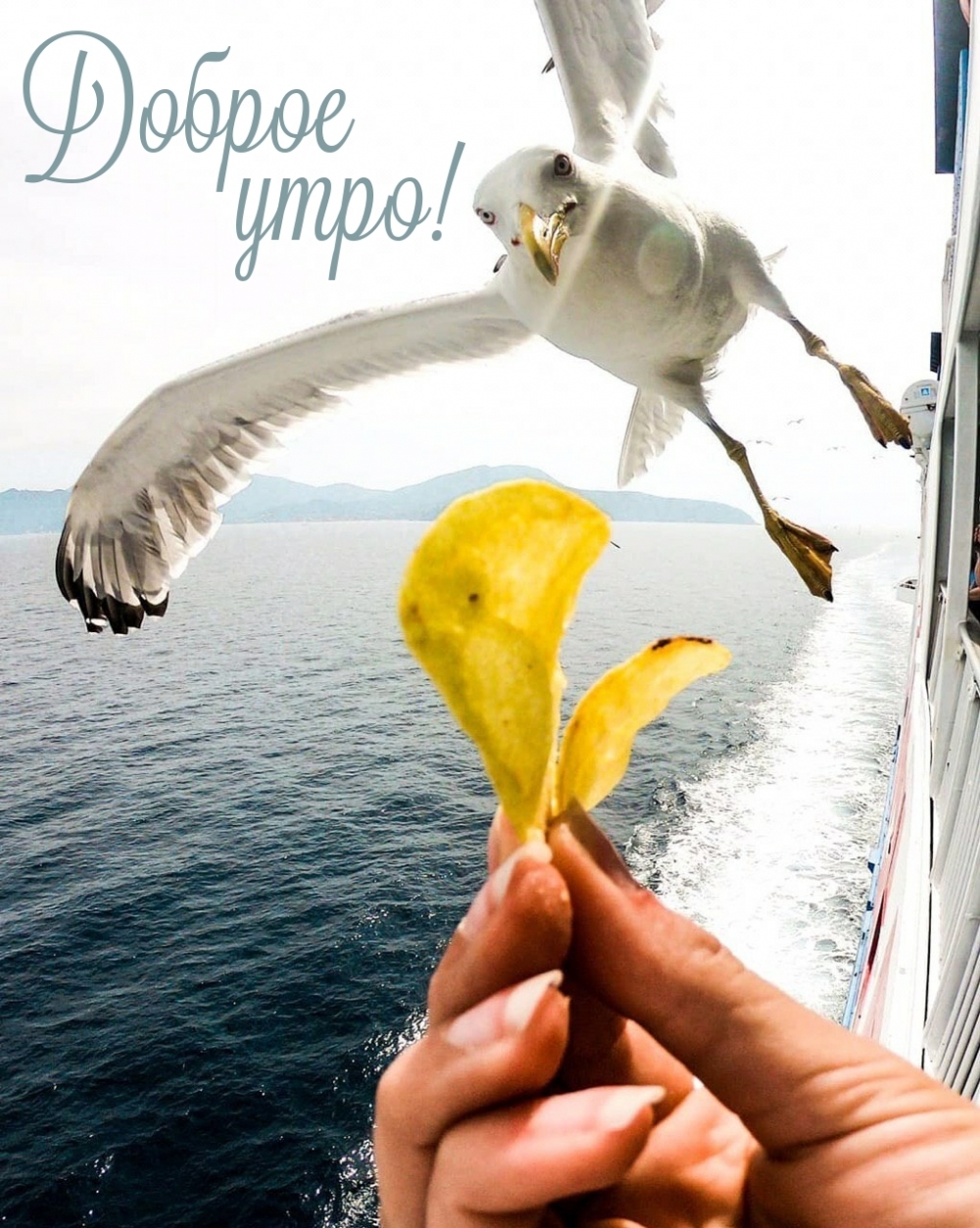 Доброе утро!