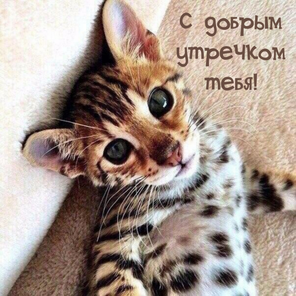 С добрым утречком тебя!