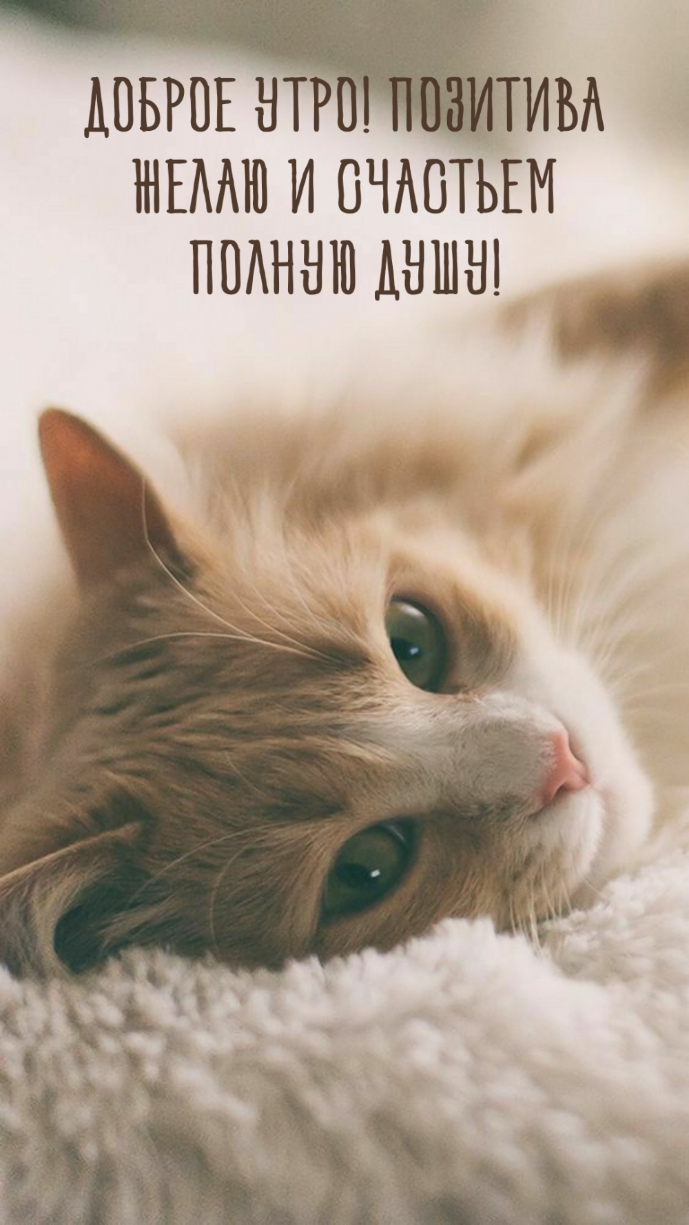 Доброе утро! Позитива желаю и счастьем полную душу!
