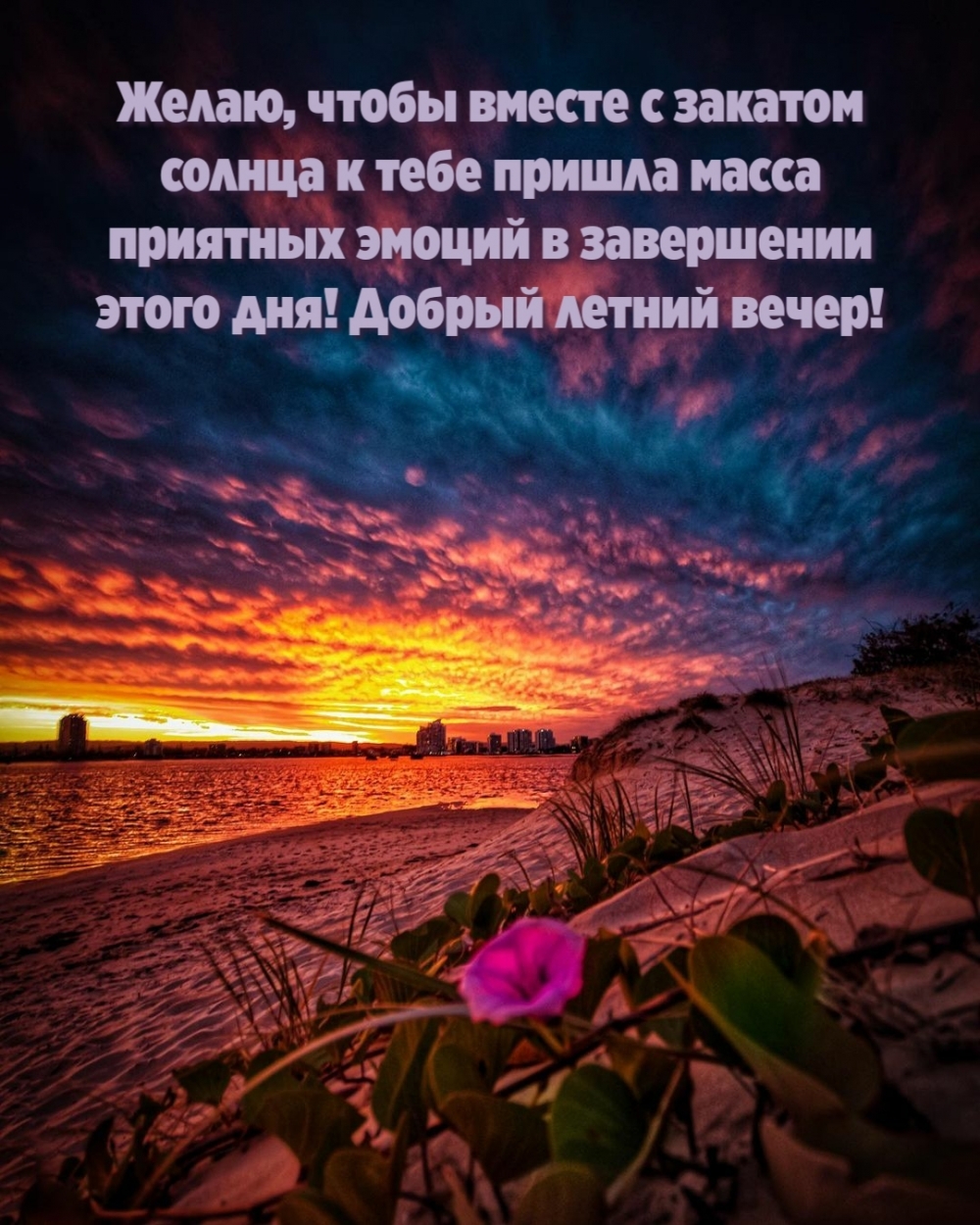 Добрый летний вечер!