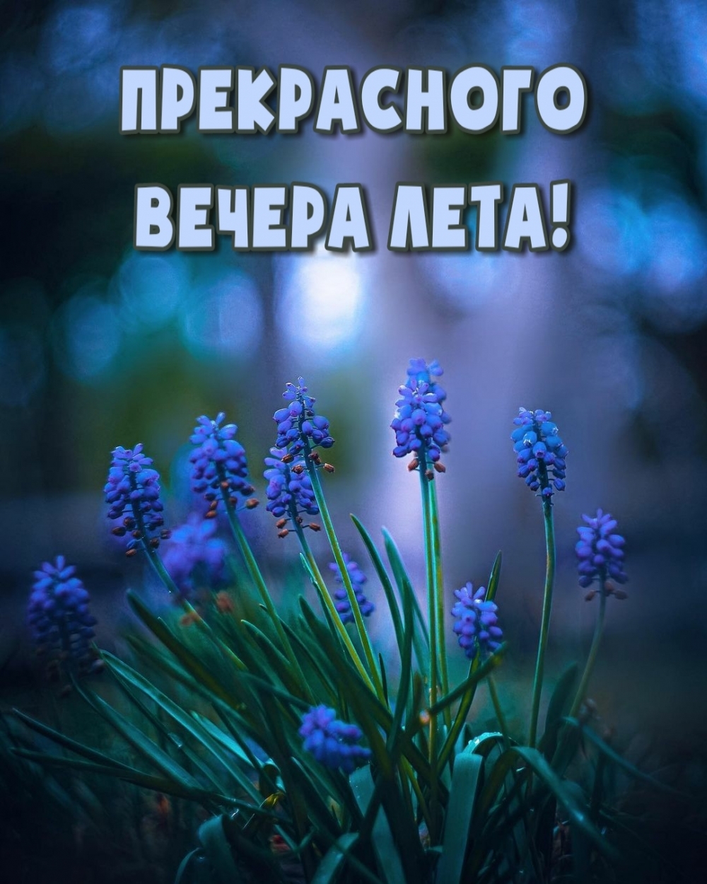 Прекрасного вечера лета!