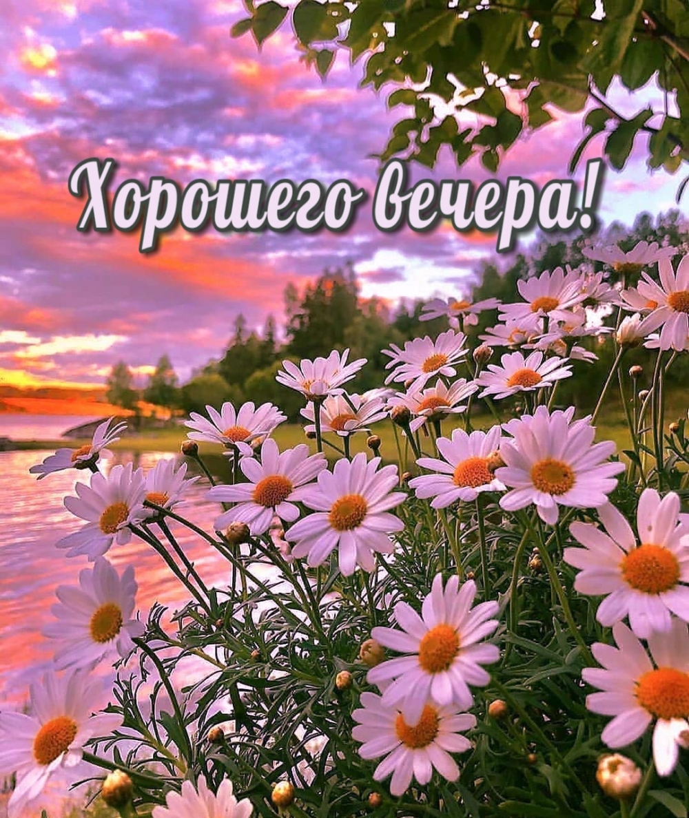 Хорошего вечера!