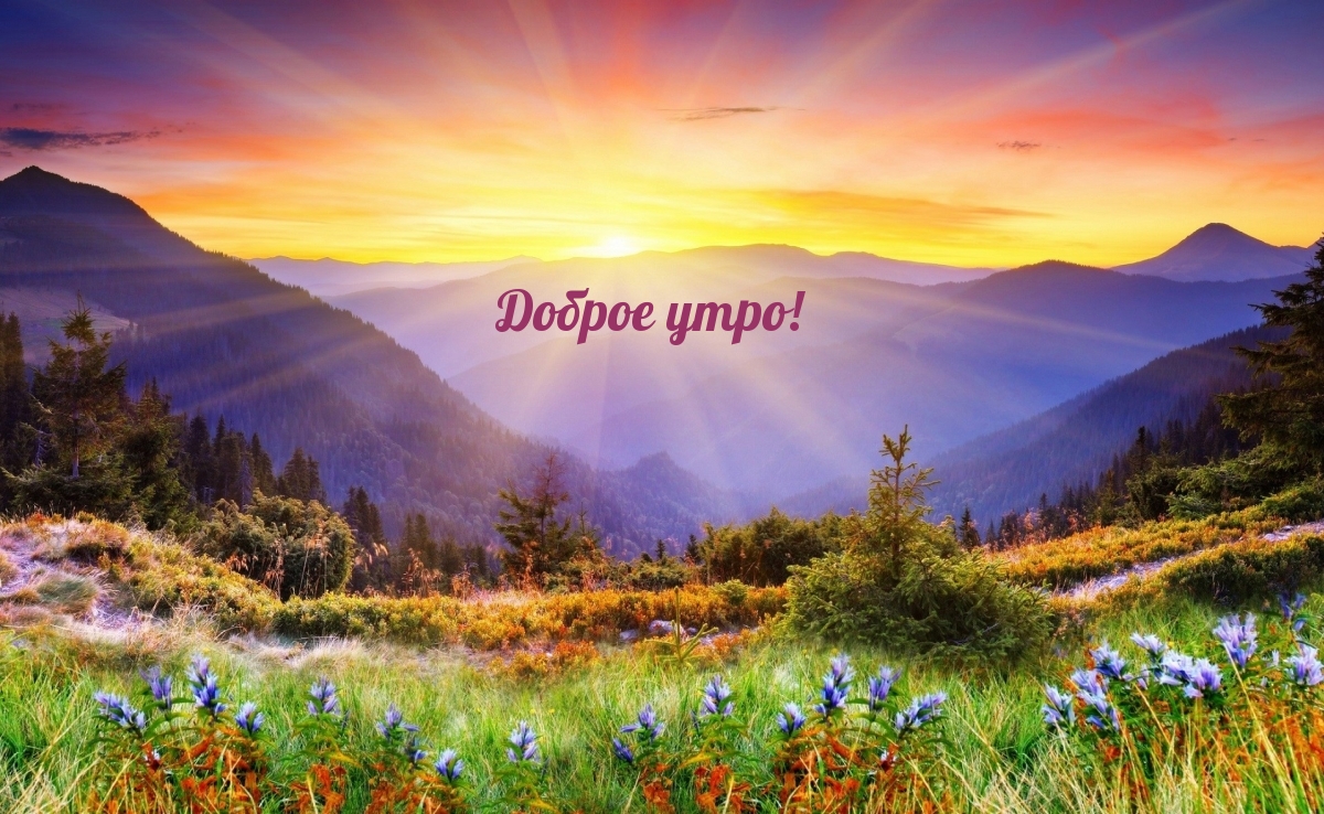 Доброе утро!