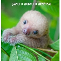 Самого доброго денёчка!