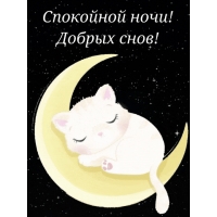 Спокойной ночи! Добрых снов!