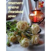 Приятного вечера! Спокойной ночи!