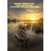 Доброго, нежного утра!