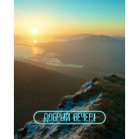 Добрый вечер!