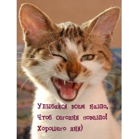 Улыбайся всем назло, чтоб сегодня повезло! Хорошего дня)