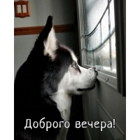 Доброго вечера!