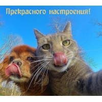 Прекрасного настроения!