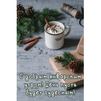 С добрым январским утром! День пусть будет чудесным!