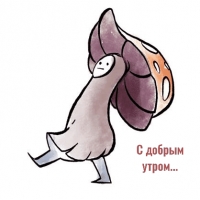 Доброе утро…