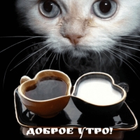 Доброе утро!