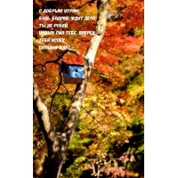 С добрым утром, будь бодрей, ждут дела