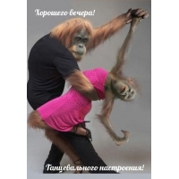 Хорошего вечера! Танцевального настроения!