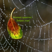 Осенний приветик) Доброе утро!