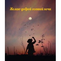 Желаю доброй осенней ночи