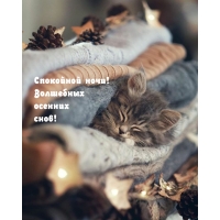 Спокойной ночи! Волшебных осенних снов!