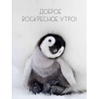 Доброе воскресное утро!