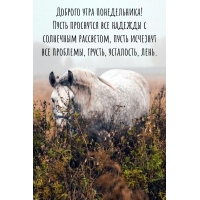 Доброго утра понедельника! Пусть проснутся все надежды