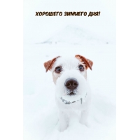 Хорошего зимнего дня!