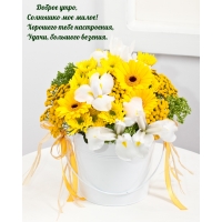 Доброе утро, солнышко мое милое!