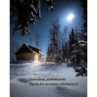 Спокойной зимней ночи! Пусть все желания сбываются!