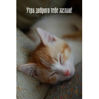 Утра доброго тебе желаю!