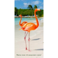 Мамочка, желаю тебе прекраснейшего утречка!