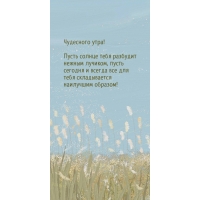 Чудесного утра! Пусть солнце тебя разбудит нежным лучиком