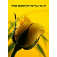 Чудеснейших выходных!