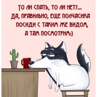 То ли спать, то ли нет?…