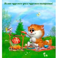 Желаю чудесного дня и чудесного настроения!