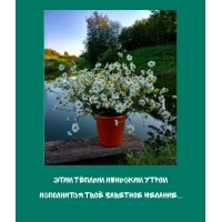 Этим тёплым июньским утром исполнится твоё заветное желание…