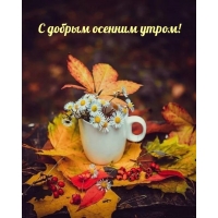 С добрым осенним утром!
