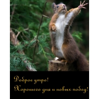 Доброе утро! Хорошего дня и новых побед!