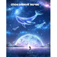 Спокойной ночи!