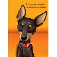 В сети долго не сиди, лучше спатоньки иди!