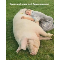 Пусть этой ночью тебе будет мягенько!