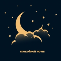 Спокойной ночи!