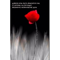 Пусть приснятся сны, от которых будет прекрасное расположение духа.