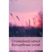 Спокойной ночи! Волшебных снов!