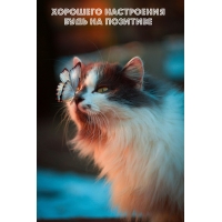 Хорошего настроения Будь на позитиве