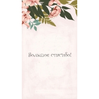 Большое спасибо!