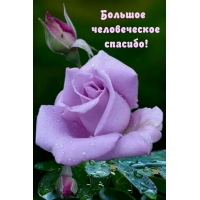 Большое человеческое спасибо!