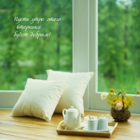 Пусть утро этого вторника будет добрым!