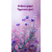 Доброго утра! Чудесного дня!