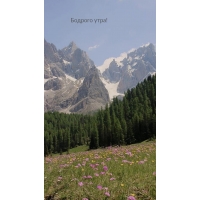 Бодрого утра!